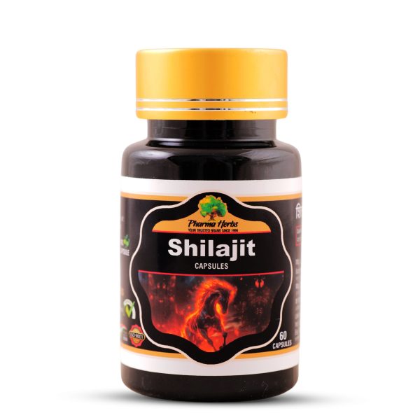 Shilajit Capsule (Veg.) 60 Cap. (Pack of 2 Bottle)