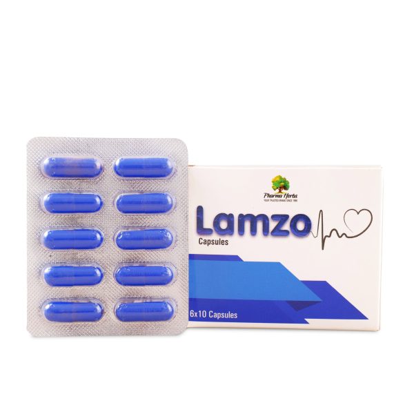 Lamzo Capsule 6X10 Cap. (Pack of 2 Boxes)